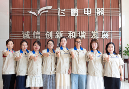 Danyang Feipeng Electrodomésticos Co., Ltd.